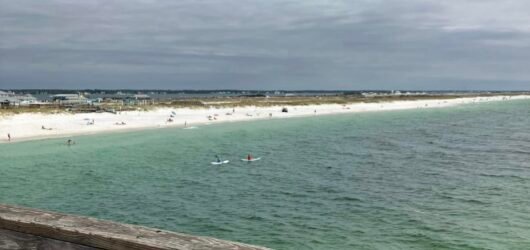 The Ultimate Guide to Traveling with Senior Handicap Parents